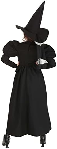 Wizard of Oz Wicked Witch Costume for Girls
