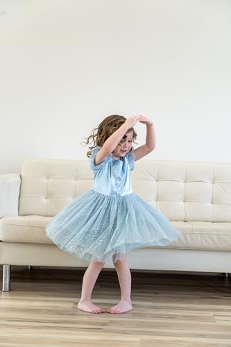 Vintage Cinderella Party Dress