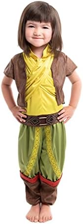 Little Adventures Deluxe Dragon Princess Warrior Costume for Kids Machine Washable