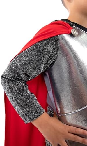 Royal Knight Costume