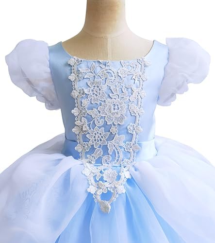 Fancy Princess Costume for Little Girls 2-13T