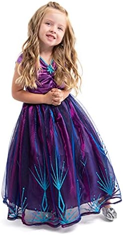 Little Adventures Ice Princess Dress Up Costume