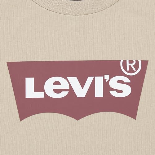 Levis Boys Baby Graphic T-Shirt Shorts Set