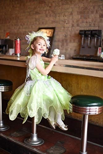 Fairy Princess Costume Set Tinkerbell Dress with Wings Halo and Wand