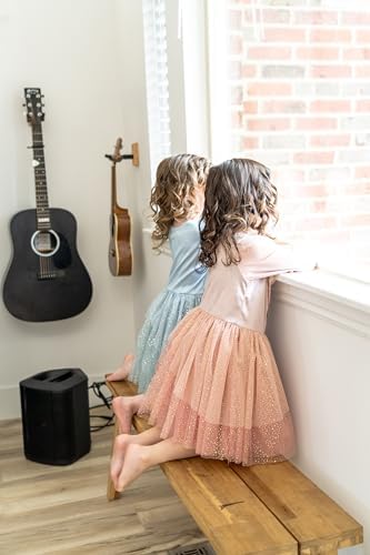 Little Adventures Vintage Sleeping Beauty Princess Dress