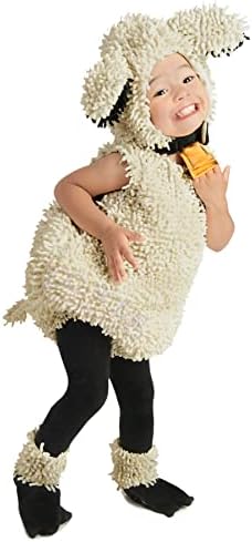 Princess Deluxe Soft Ivory Gold Costume