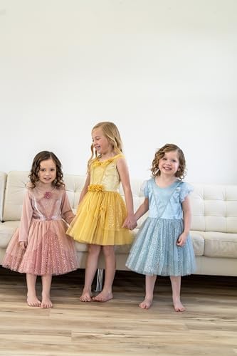 Little Adventures Vintage Sleeping Beauty Princess Dress
