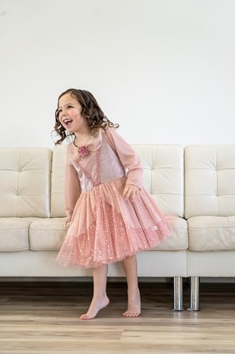 Little Adventures Vintage Sleeping Beauty Princess Dress