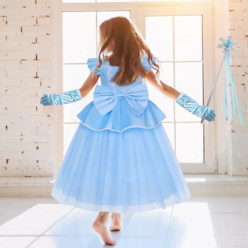 WYB PrincessSenator Dress Up Costume Blue A Magical Journey