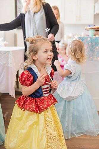 Little Adventures Princess Dress Up Costume