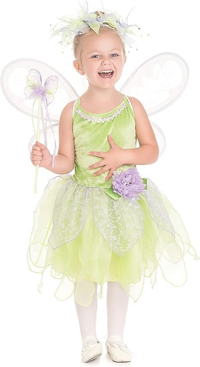 Fairy Princess Costume Set Tinkerbell Dress with Wings Halo and Wand