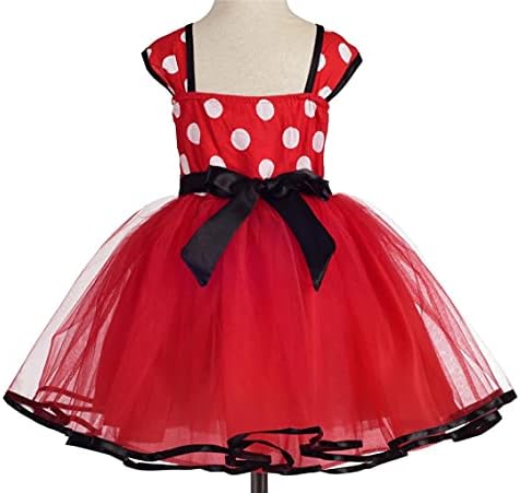 Dressy Daisy Party Costume