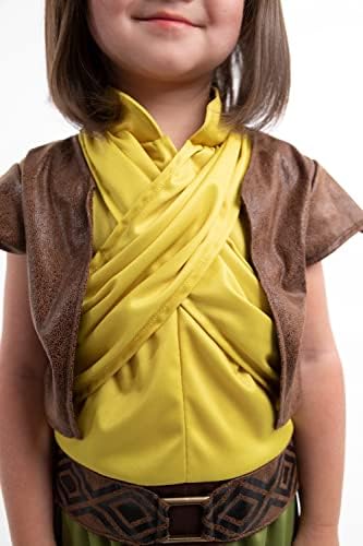 Little Adventures Deluxe Dragon Princess Warrior Costume for Kids Machine Washable