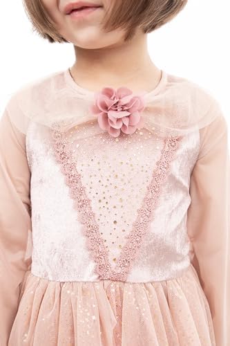 Little Adventures Vintage Sleeping Beauty Princess Dress