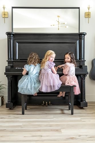 Vintage Cinderella Party Dress
