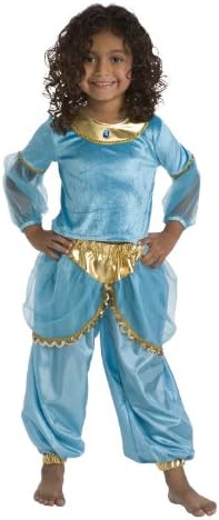 Little Adventures Princess Dress Up Costume - Bold and Machine Washable Princess Dress