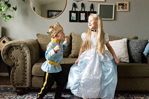 Little Adventures Cinderella Princess Costumes Medium Age