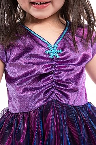 Little Adventures Ice Princess Dress Up Costume