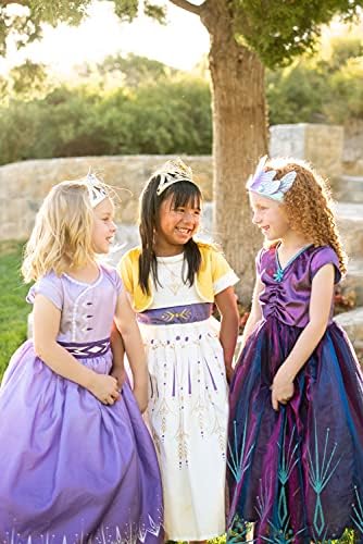 Ice Harvest Princess Dress Up Costume