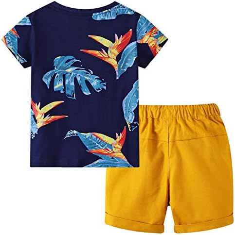 Perfect t-shirt shorts set for boys this summer