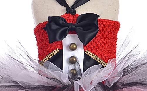 Fancy Circus Circum Classy Party Costume for Girls 1-10Y HOYPSY Exclusive