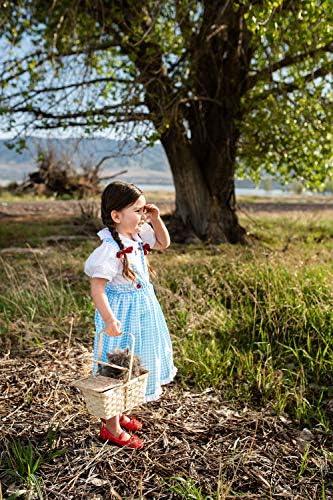 Little Adventures Kansas Girl Dress Up Costume