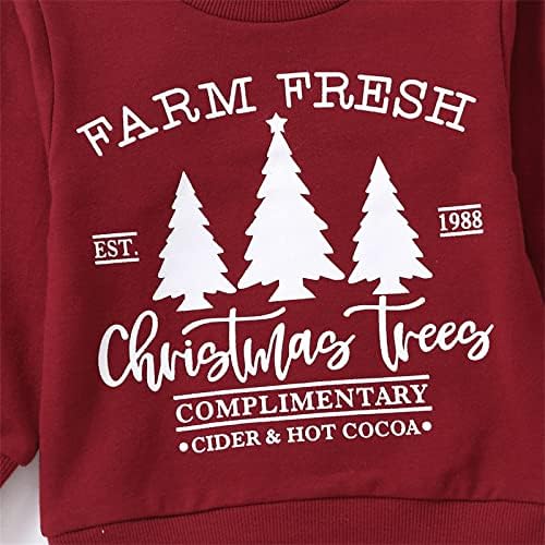 Newborn Boys Christmas Outfit - Soft Long Sleeve Sweater Set
