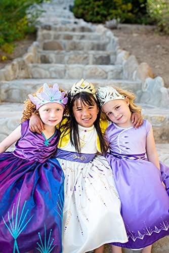 Ice Harvest Princess Dress Up Costume