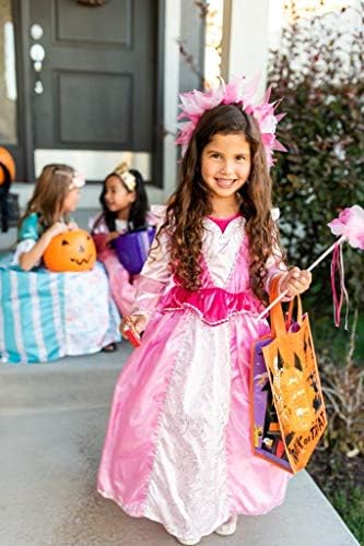 Sleeping Beauty Princess Costume