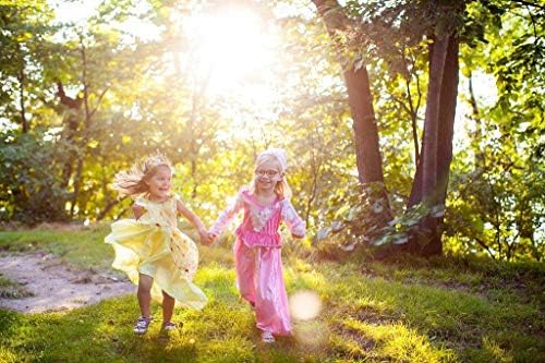 Sleeping Beauty Princess Costume