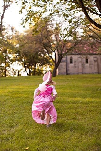 Sleeping Beauty Princess Costume