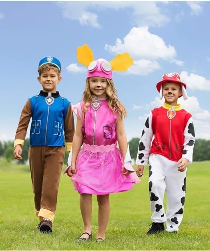 Rubies Paw Patrol Sky Costume - Small