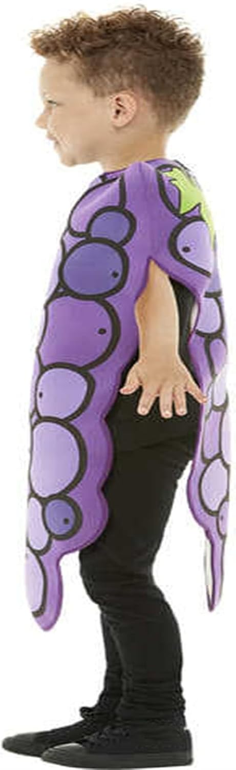 Grape Fruit Themed Toddler Dress Up Set