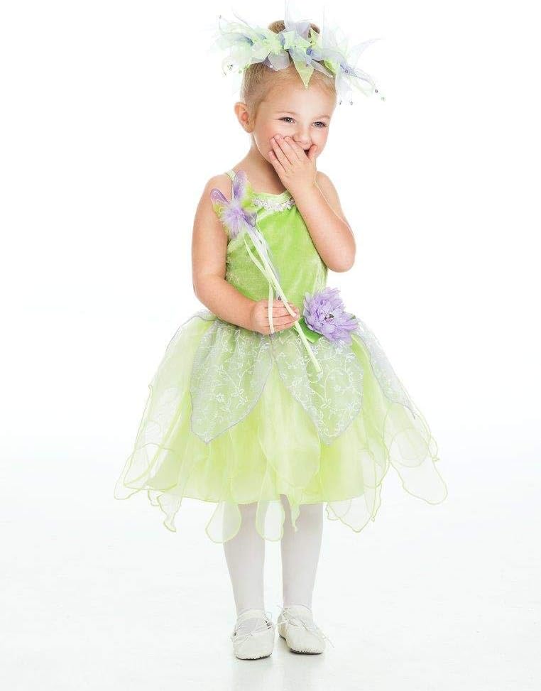 Fairy Princess Costume Set Tinkerbell Dress with Wings Halo and Wand