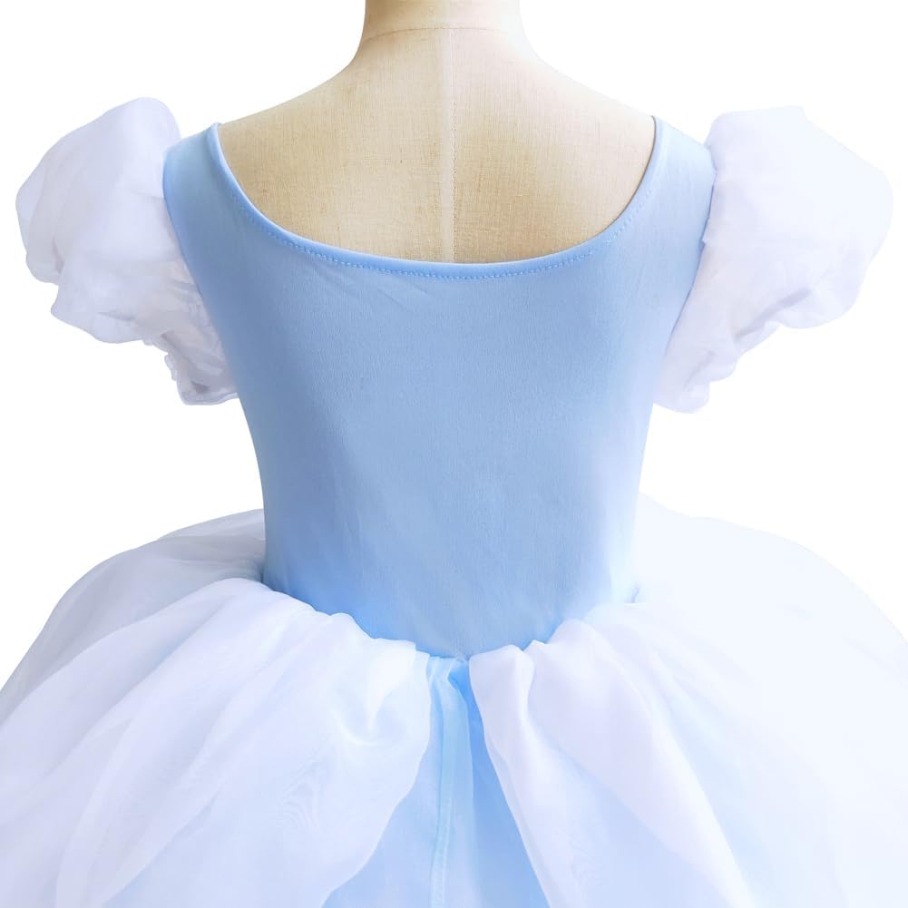 Fancy Princess Costume for Little Girls 2-13T