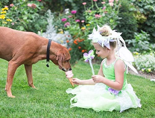 Fairy Princess Costume Set Tinkerbell Dress with Wings Halo and Wand