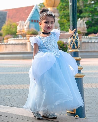 Fancy Princess Costume for Little Girls 2-13T