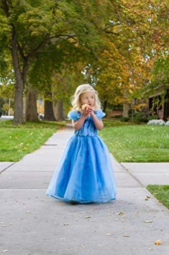 Little Adventures Deluxe Cinderella Butterfly Princess Dress Up Costume for Girls