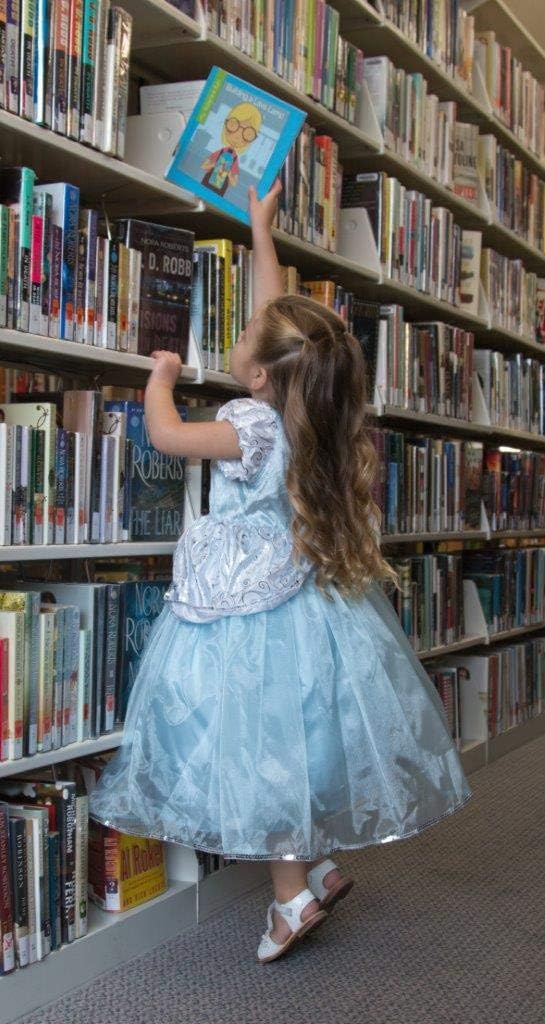Little Adventures Deluxe Cinderella Princess Dress up Costume for Girls