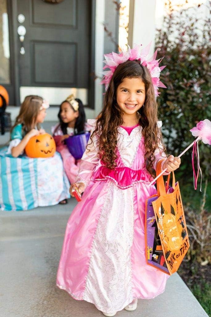 Sleeping Beauty Princess Costume