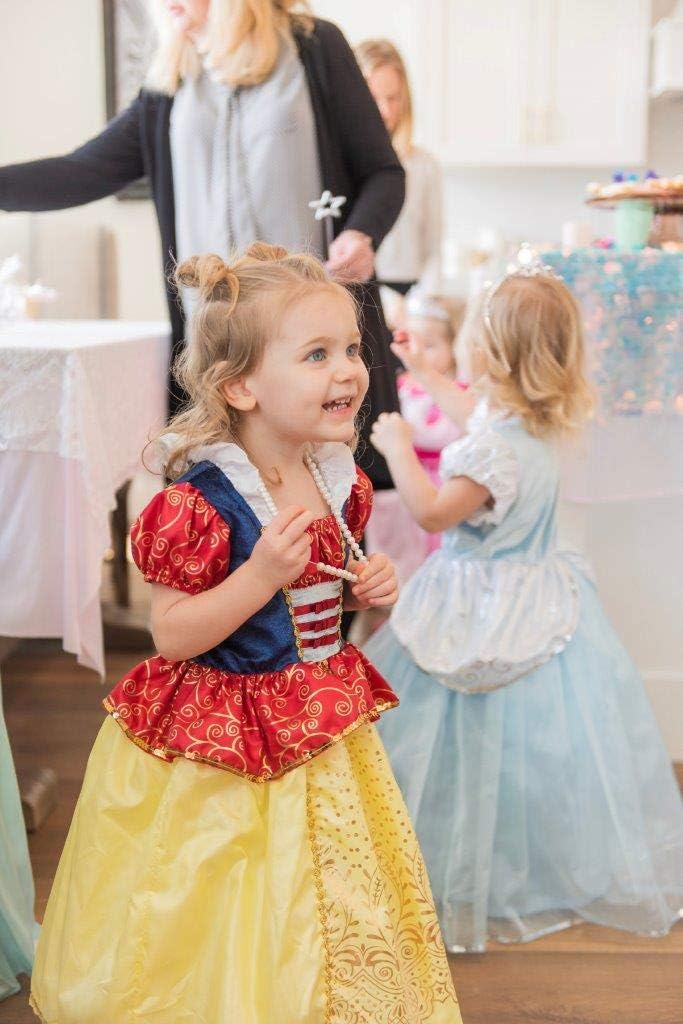 Little Adventures Princess Dress Up Costume