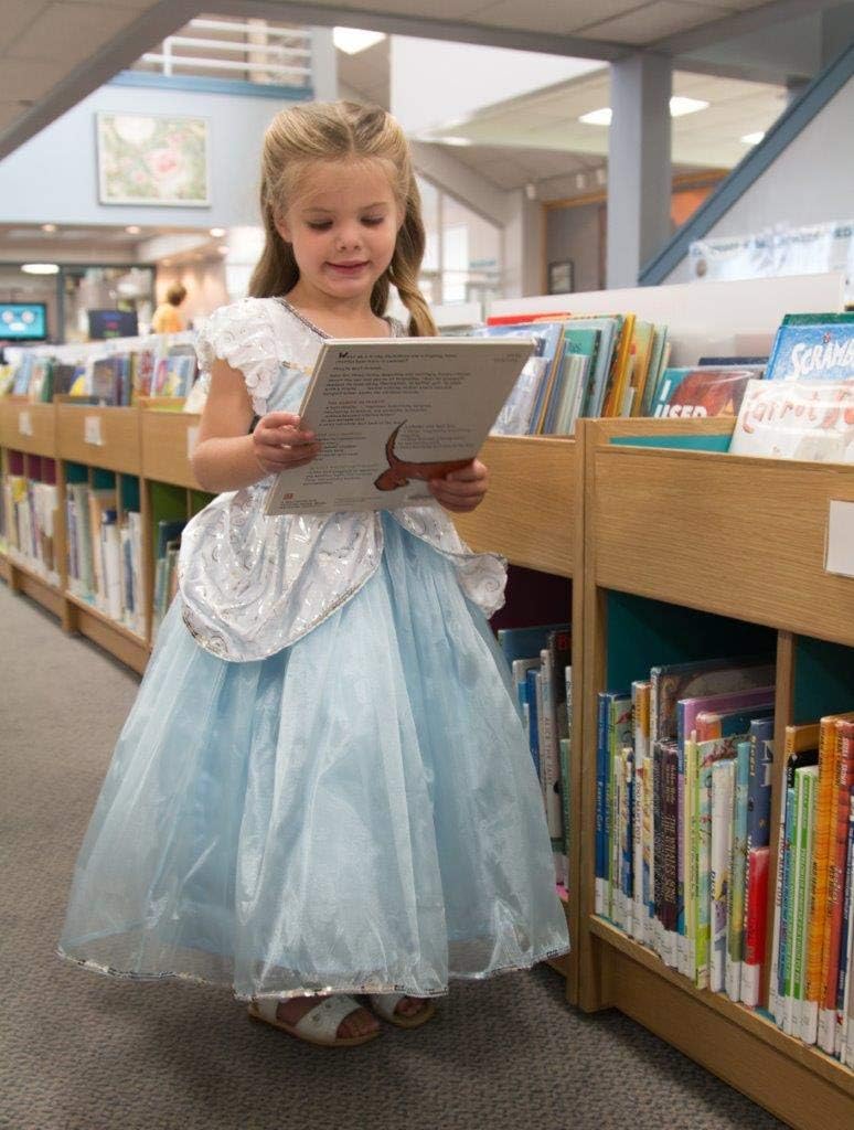 Little Adventures Deluxe Cinderella Princess Dress up Costume for Girls