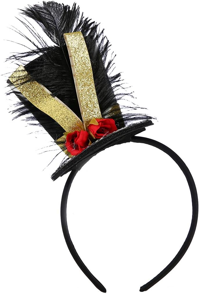 Fancy Circus Circum Classy Party Costume for Girls 1-10Y HOYPSY Exclusive