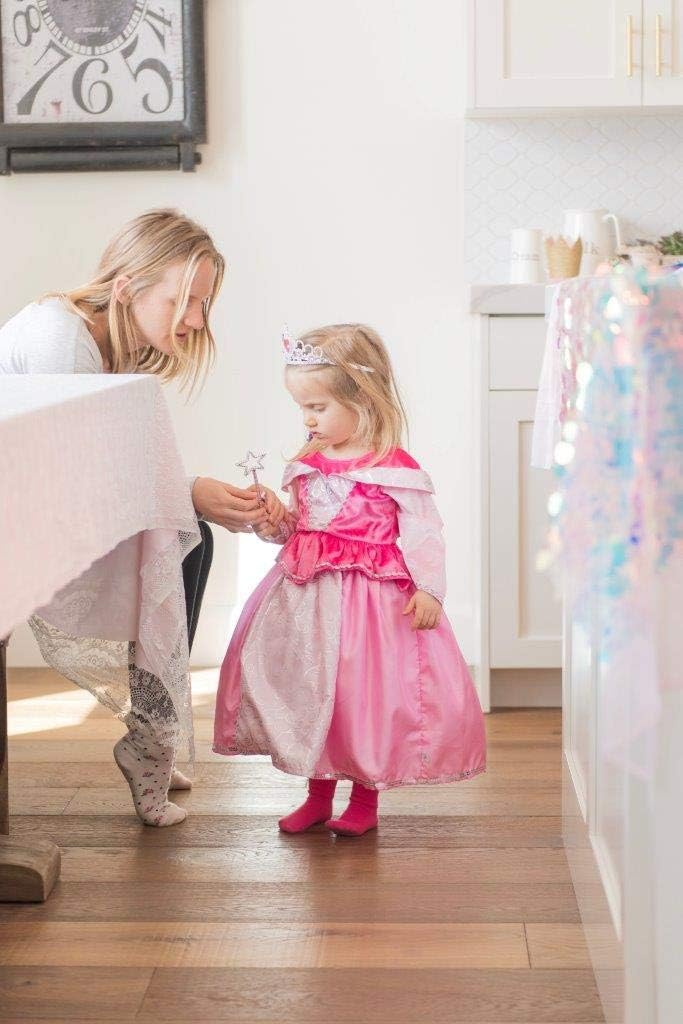 Sleeping Beauty Princess Costume