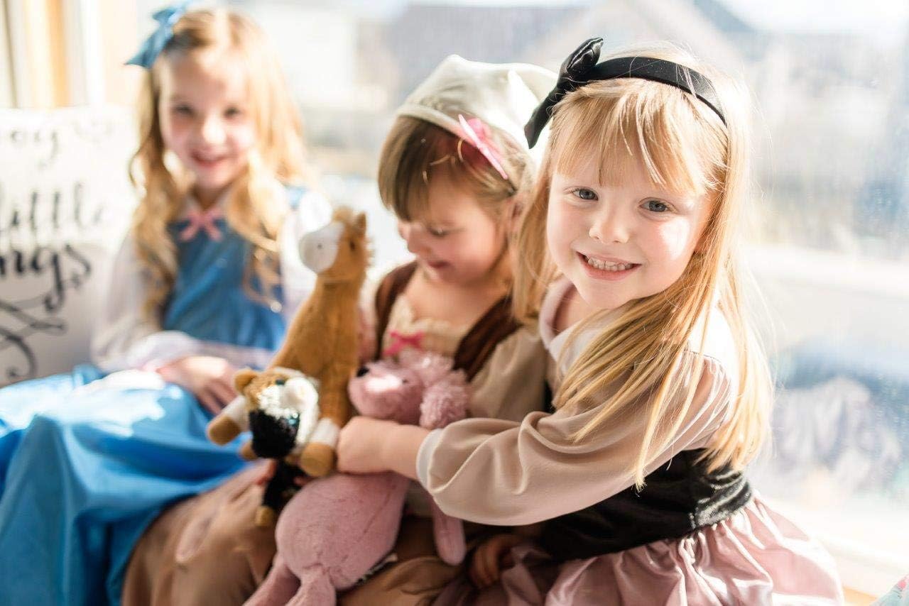 Sleeping Beauty Princess Day Dress