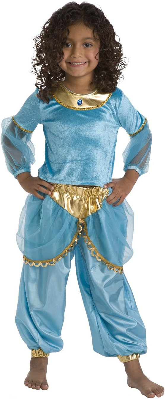 Little Adventures Princess Dress Up Costume - Bold and Machine Washable Princess Dress