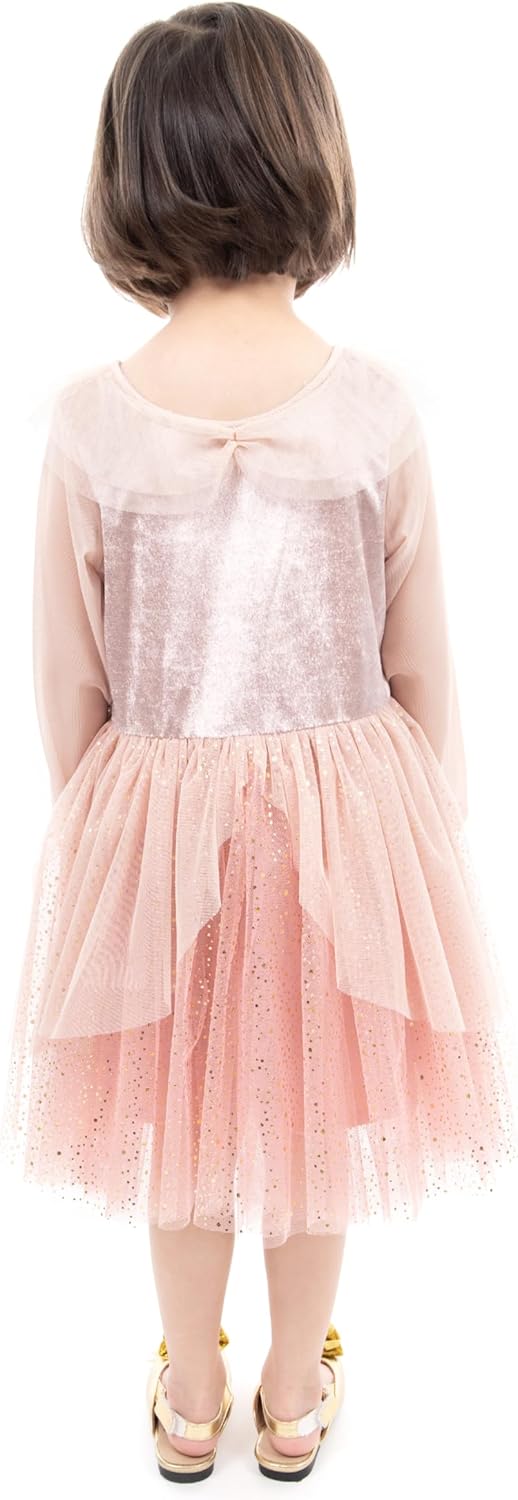 Little Adventures Vintage Sleeping Beauty Princess Dress