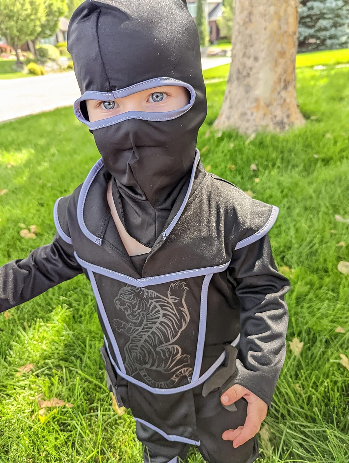 Little Adventures Ninja Costume