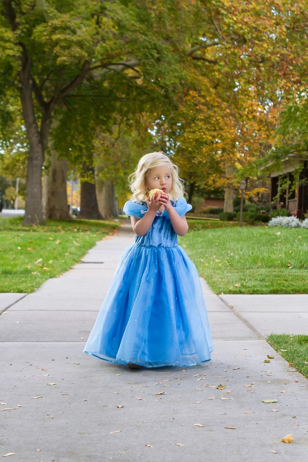 Little Adventures Deluxe Cinderella Butterfly Princess Dress Up Costume for Girls