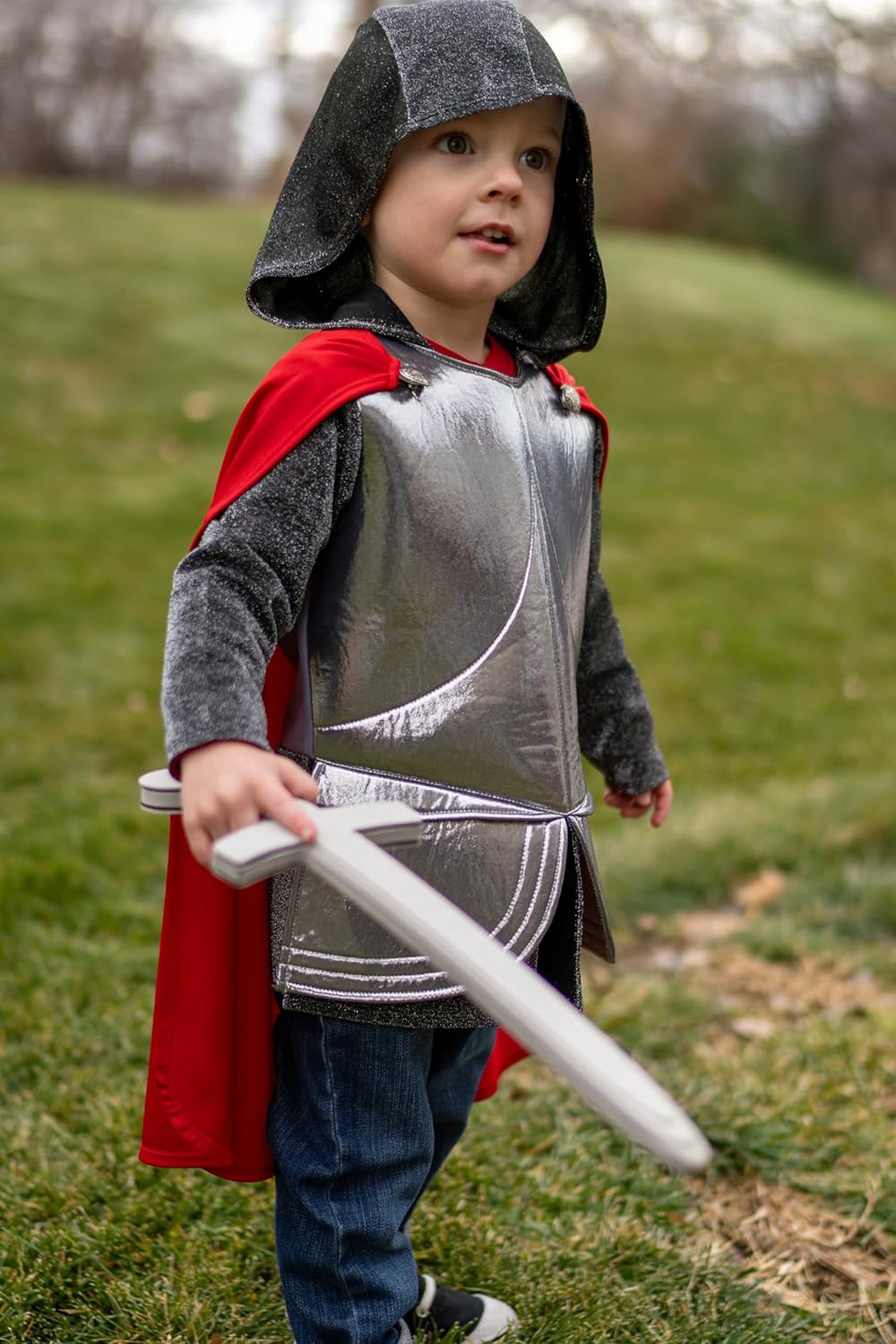 Royal Knight Costume